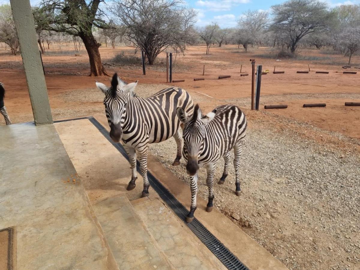 Doornkom Marloth Park Dış mekan fotoğraf
