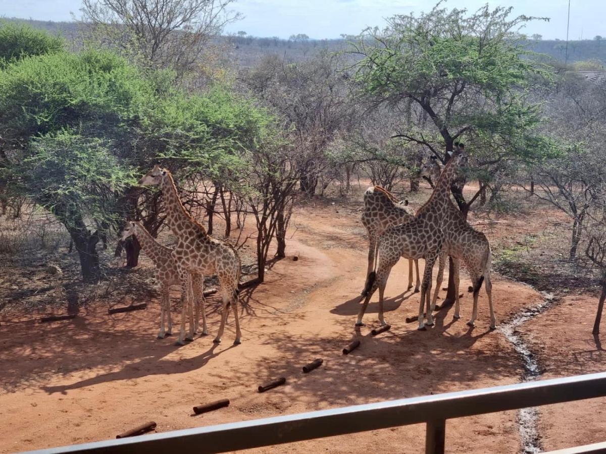 Doornkom Marloth Park Dış mekan fotoğraf